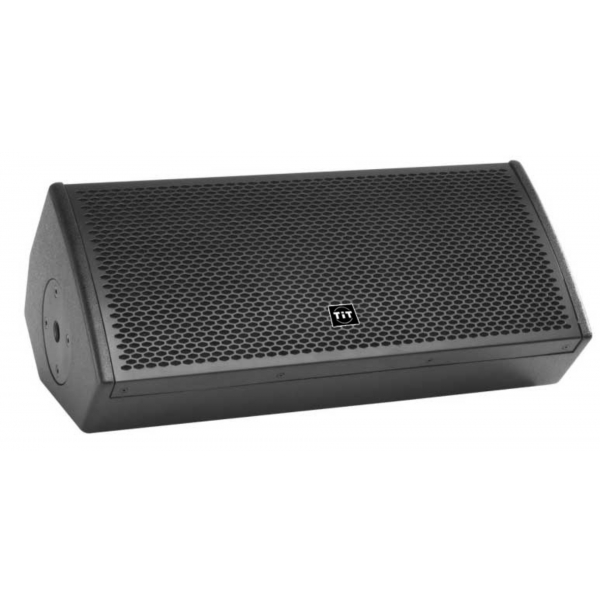 双6.5寸专业返听音箱ZR-AF265